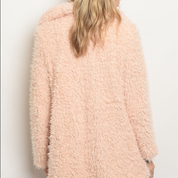 🌿LAST ONE🌿Blush Pink Faux Fur Teddy Bear Coat - Picture 4 of 7